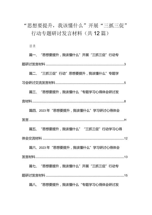 （12篇）“思想要提升我该懂什么”开展“三抓三促”行动专题研讨发言材料汇编.docx