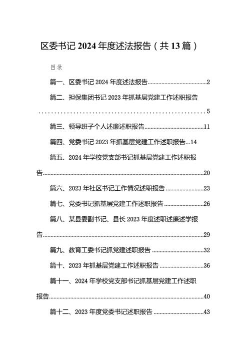 区委书记2024述法报告（共13篇）.docx