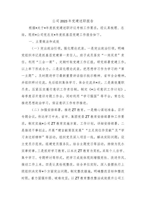 公司2023年党建述职报告.docx