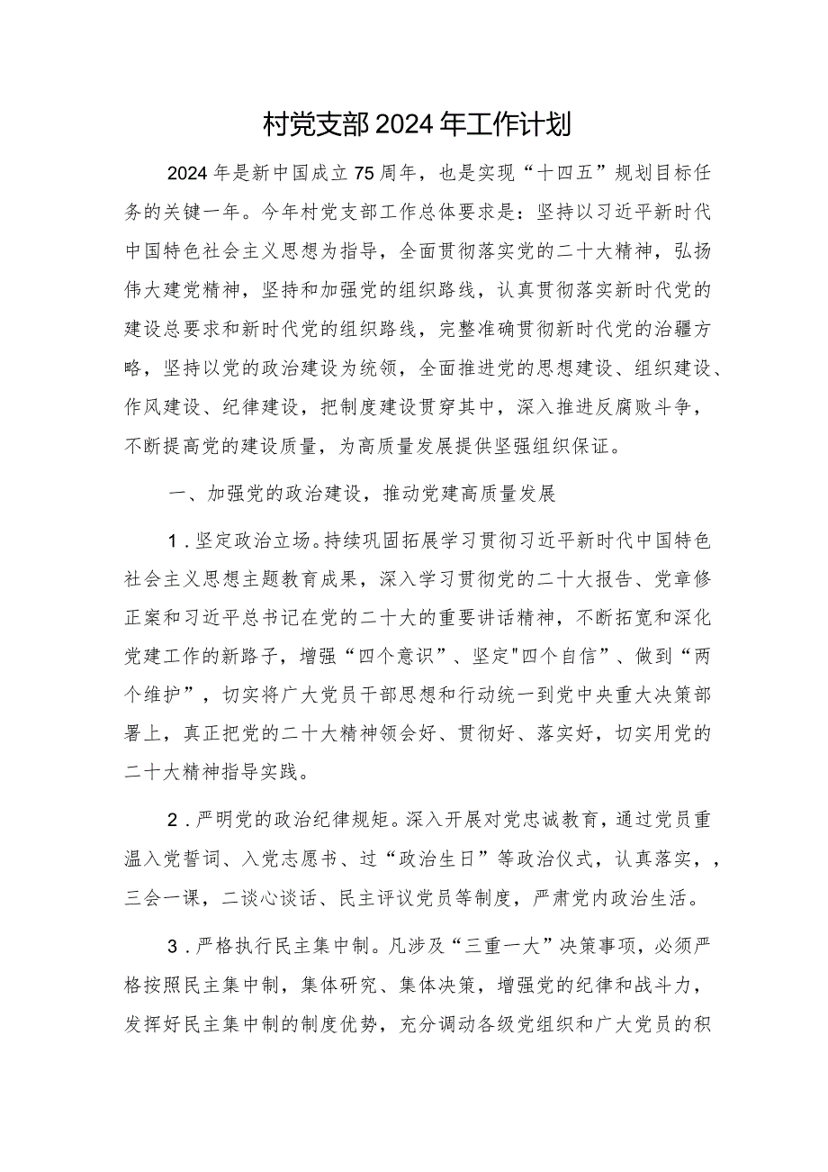 村党支部2024年工作计划要点.docx_第1页