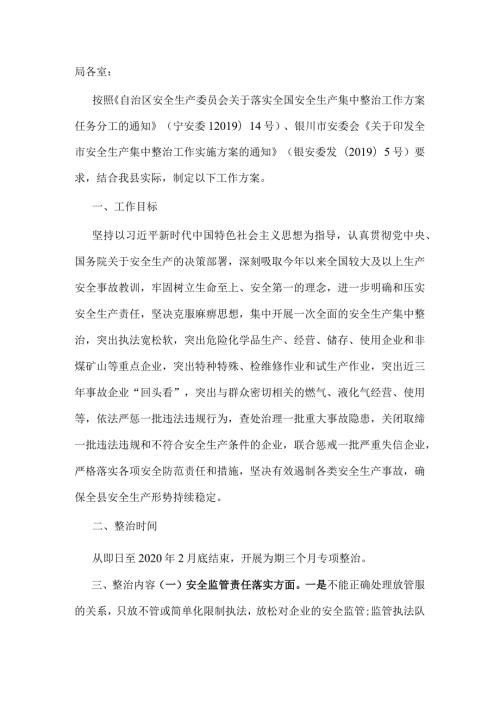 县应急管理局安全生产集中整治工作方案.docx