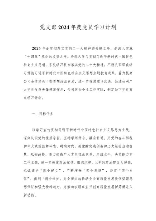 党支部2024党员学习计划(1).docx