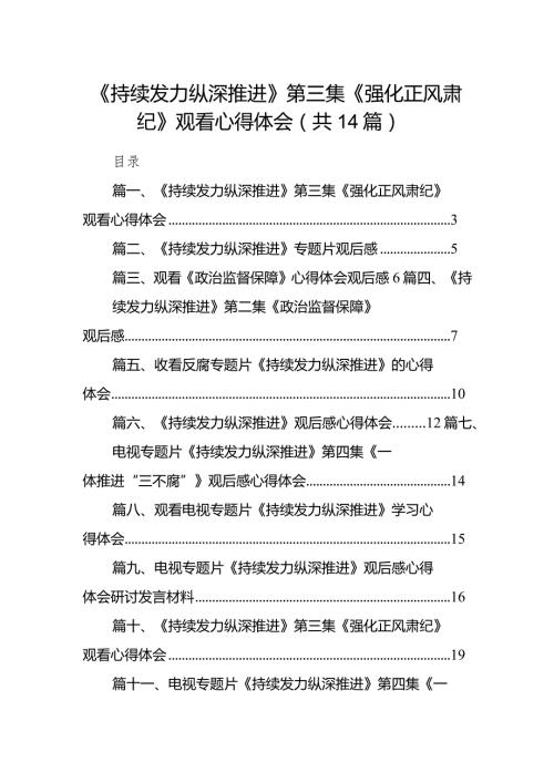 《持续发力纵深推进》第三集《强化正风肃纪》观看心得体会精选(通用14篇).docx