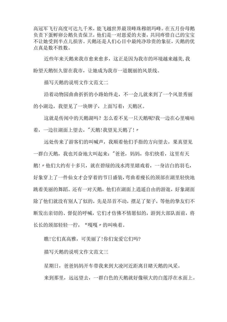描写天鹅的说明文作文10篇.docx_第2页