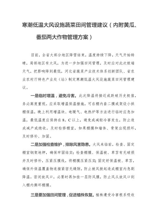 寒潮低温大风设施蔬菜田间管理建议（内附黄瓜、番茄两大作物管理方案）.docx