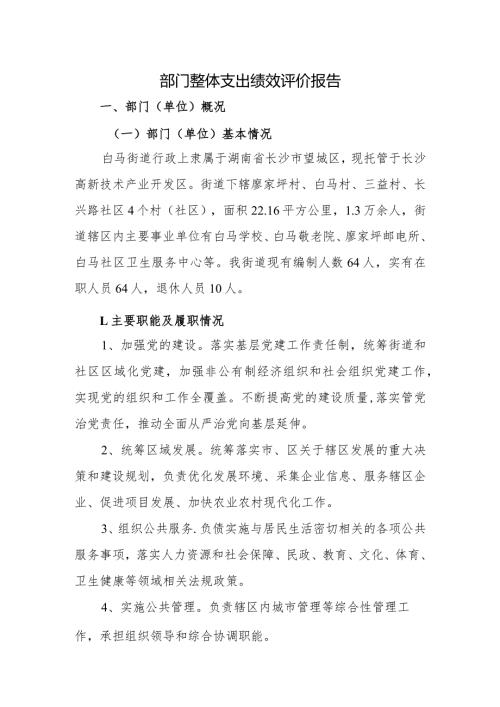 部门整体支出绩效评价报告.docx