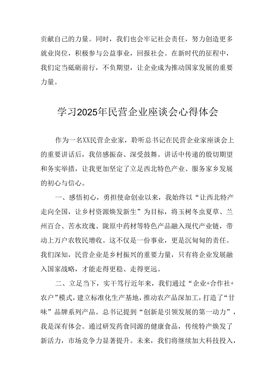 2025年私营企业学习《民营企业座谈会》个人心得体会 （合计11份）.docx_第2页