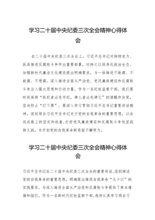 二十中央纪委三次全会精神心得体会发言稿二十篇.docx