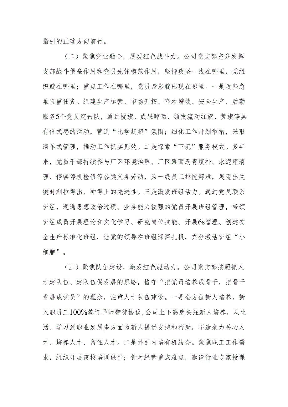 2024年国有企业党支部抓基层党建工作总结和2024年工作总结2025年的工作打算.docx_第3页