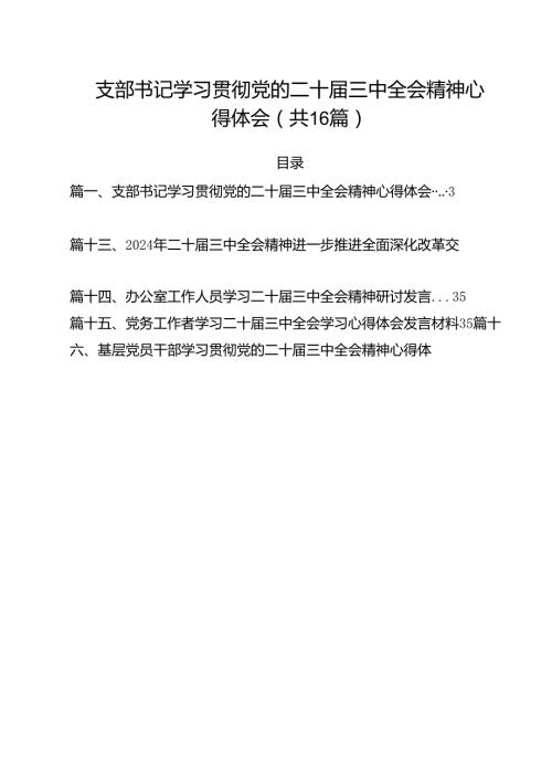 （16篇）支部书记学习贯彻党的二十三中全会精神心得体会范文.docx