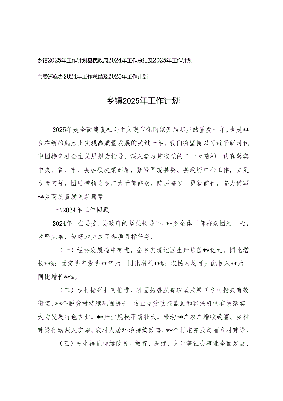 乡镇、民政局、巡察办2024年工作总结及2025年工作计划.docx_第1页