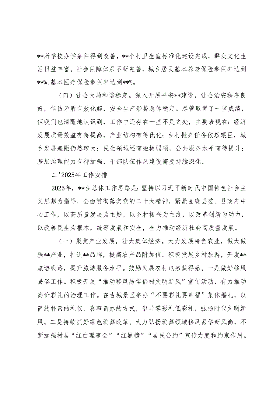 乡镇、民政局、巡察办2024年工作总结及2025年工作计划.docx_第2页