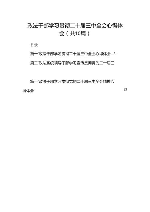 （10篇）政法干部学习贯彻二十三中全会心得体会（最新版）.docx