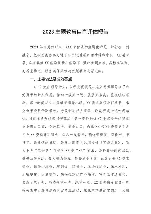 2023年主题教育开展情况自查评估报告精选范文.docx