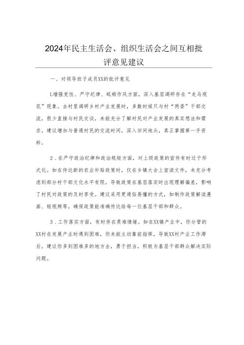 2024年民主生活会、组织生活会之间互相批评意见建议.docx