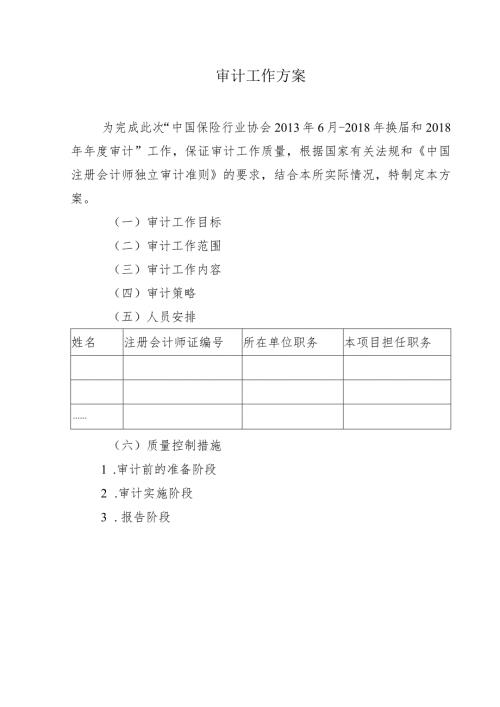 审计工作方案.docx