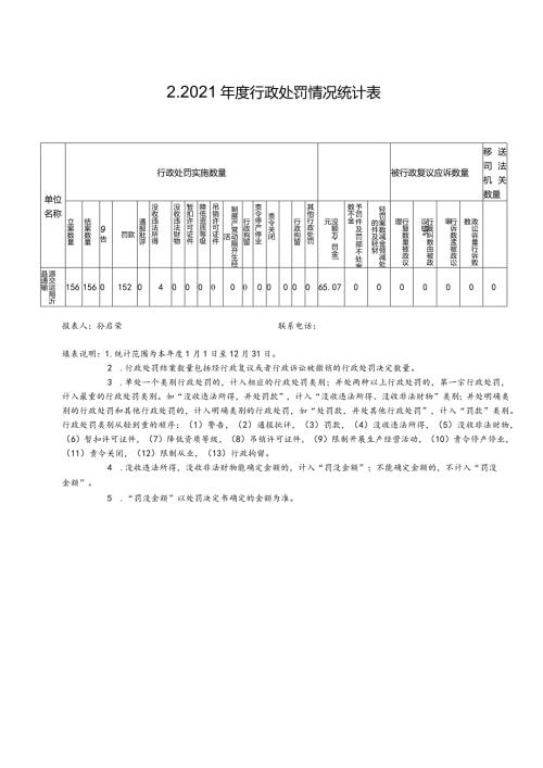 2021行政处罚情况统计表.docx