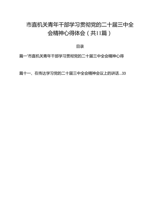 （11篇）市直机关青年干部学习贯彻党的二十三中全会精神心得体会范文.docx