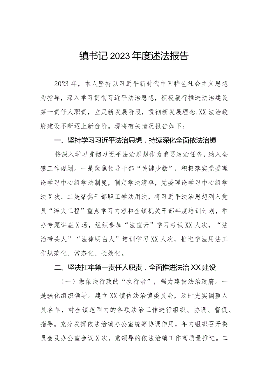镇书记2023述法报告.docx_第1页