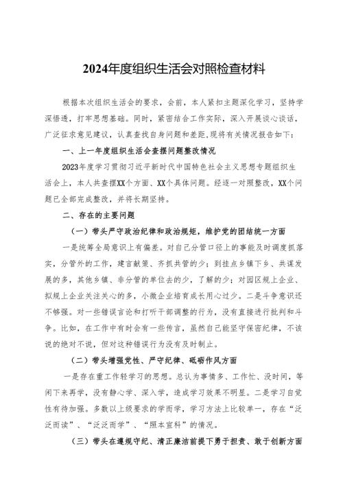 2024年度组织生活会对照检查材料 (7).docx
