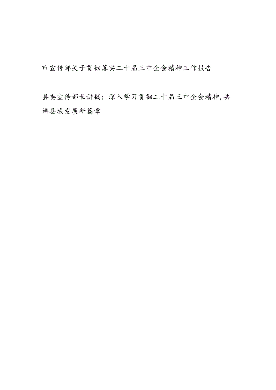 市宣传部关于学习贯彻落实党的二十三中全会精神工作报告总结和宣传部长讲稿(1).docx_第1页