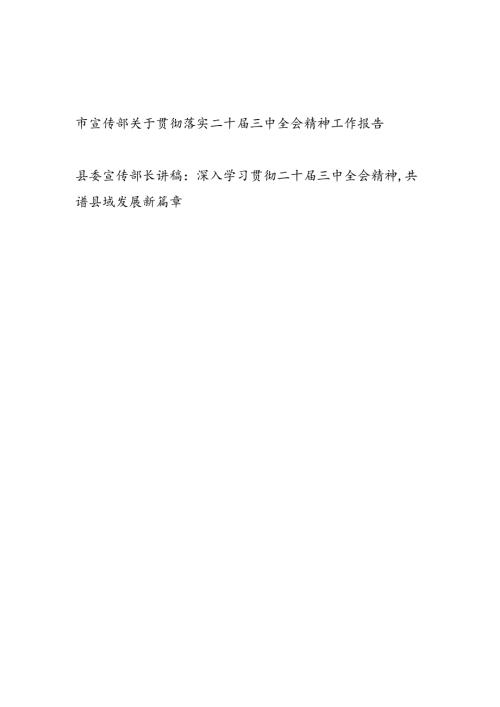 市宣传部关于学习贯彻落实党的二十三中全会精神工作报告总结和宣传部长讲稿(1).docx