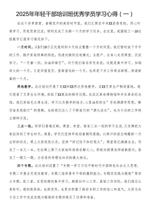 2025年年轻干部培训班优秀学员学习心得.docx