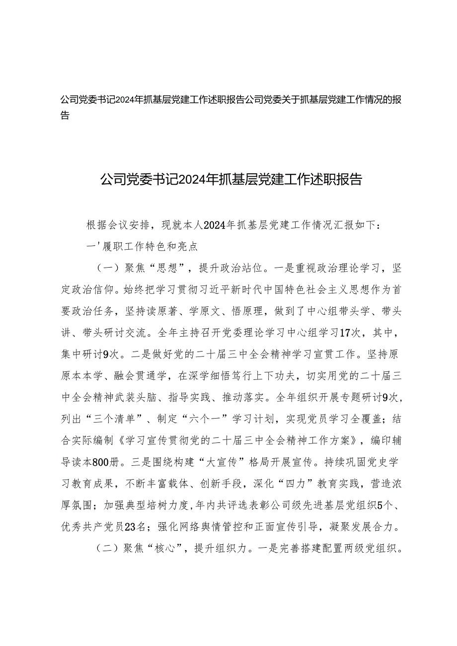 公司党委书记2024年抓基层党建工作述职报告工作情况的报告.docx_第1页