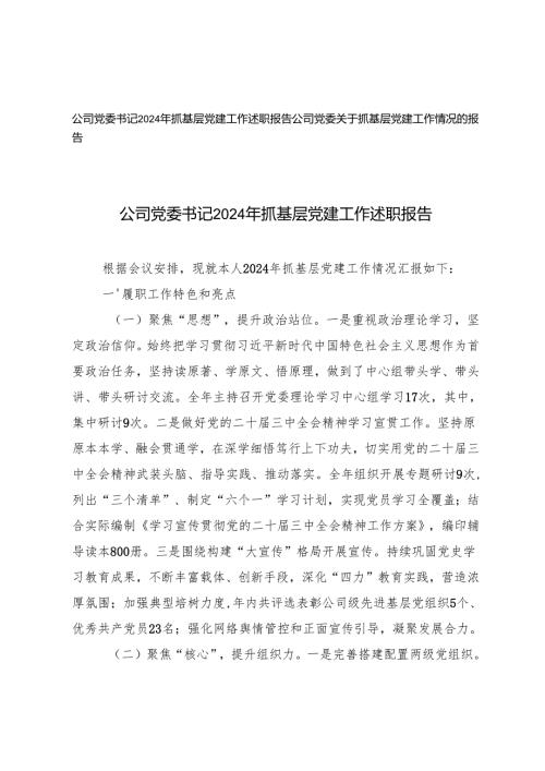 公司党委书记2024年抓基层党建工作述职报告工作情况的报告.docx
