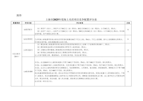 上海市2025年度海上光伏项目竞争配置评分表.docx