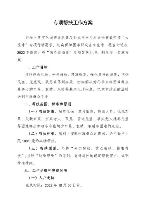专项帮扶工作方案.docx