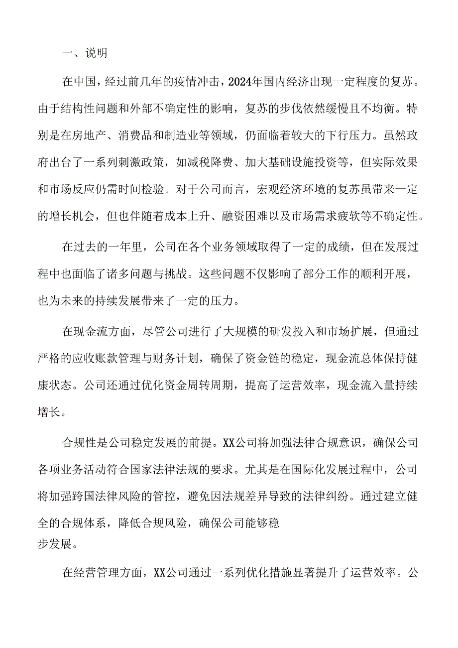 XX公司2024工作总结报告.docx_第2页