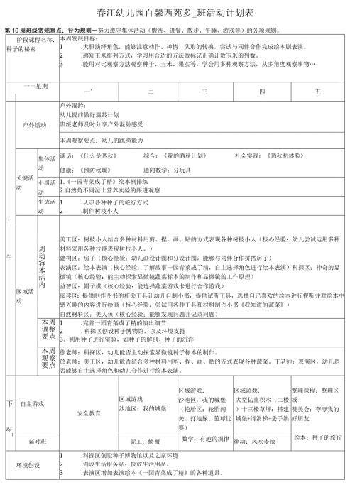 江幼儿园百馨西苑大5班活动计划表.docx