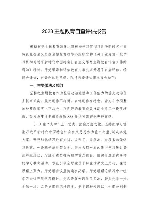 2023年主题教育开展情况的自查评估报告.docx