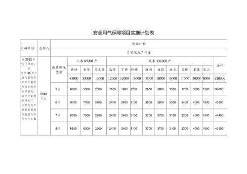 安全用气保障项目实施计划表.docx