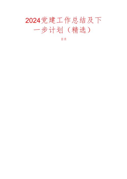 2024 党建工作总结及下一步计划（精选）(2).docx