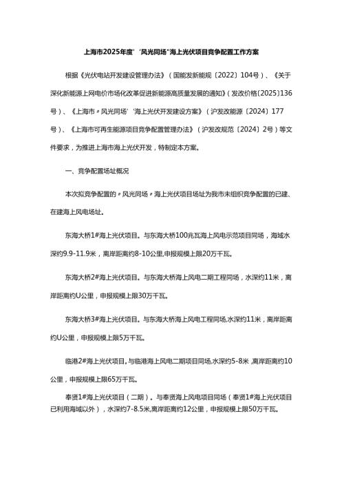 上海市2025年度“风光同场”海上光伏项目竞争配置工作方案.docx