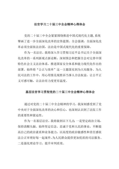 （11篇）法官学习二十三中全会精神心得体会范文.docx