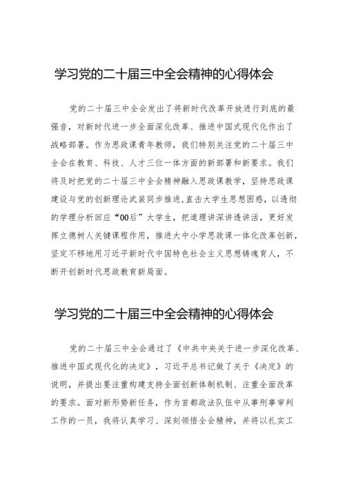 学习贯彻2024年二十三中全会精神心得感悟最新版32篇.docx