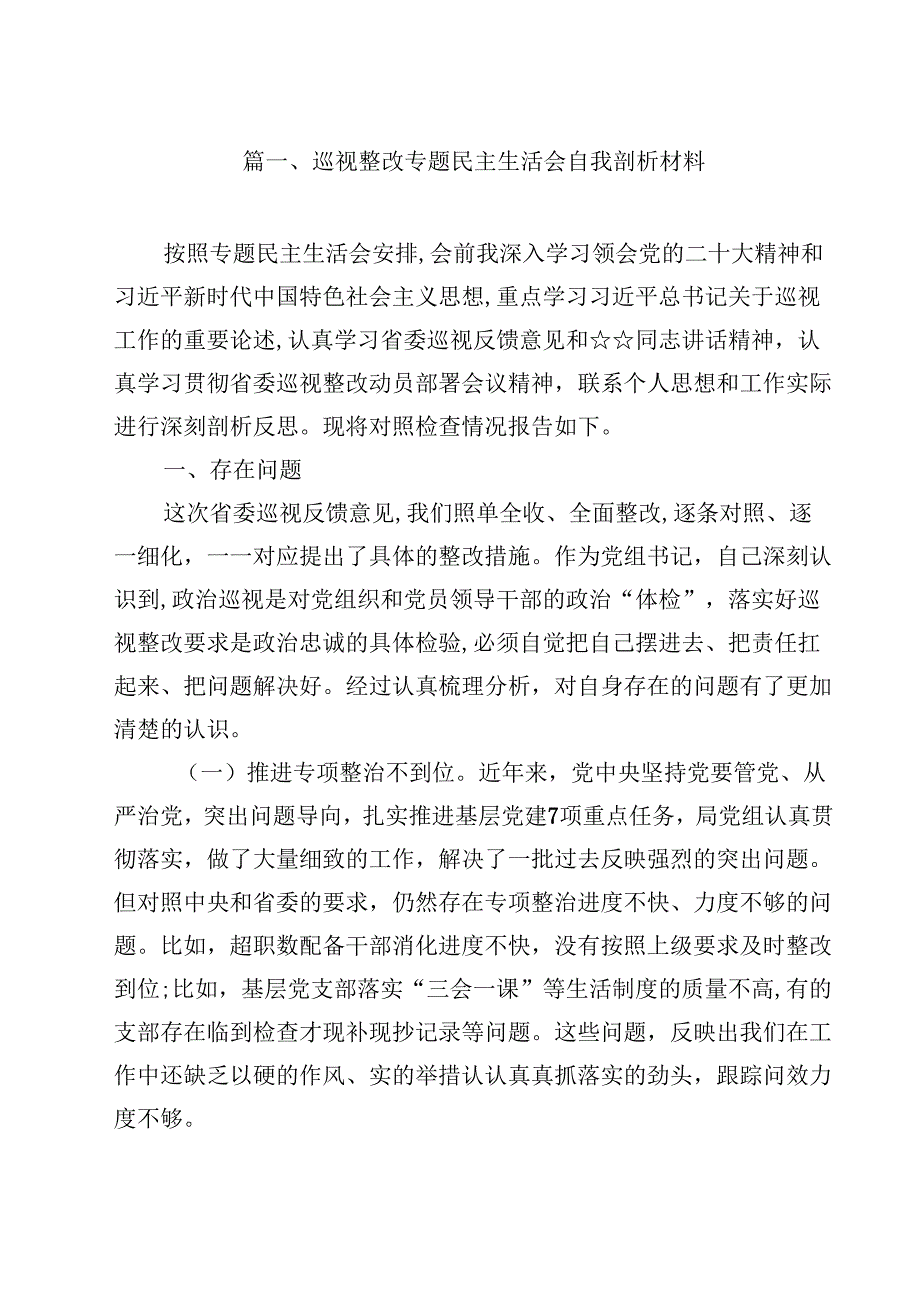 巡视整改专题民主生活会自我剖析材料12篇（精编版）.docx_第2页