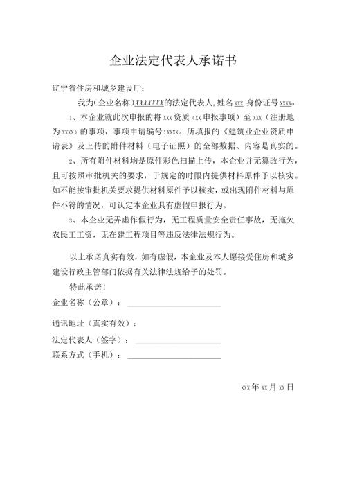 企业法定代表人承诺书.docx