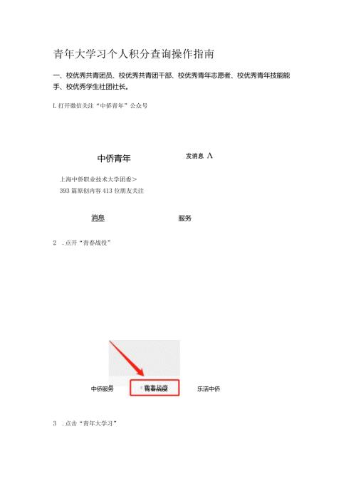 青年大学习个人积分查询操作指南.docx
