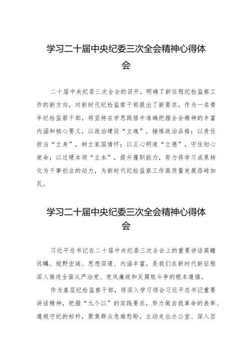 2024年二十中央纪委三次全会精神心得体会二十篇.docx