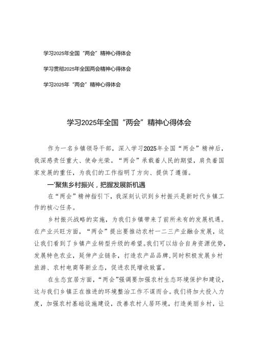 乡镇领导干部、市长学习2025年全国“两会”精神心得体会.docx