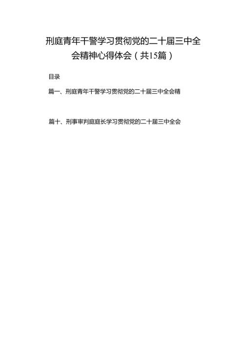 （15篇）刑庭青年干警学习贯彻党的二十三中全会精神心得体会（精选）.docx