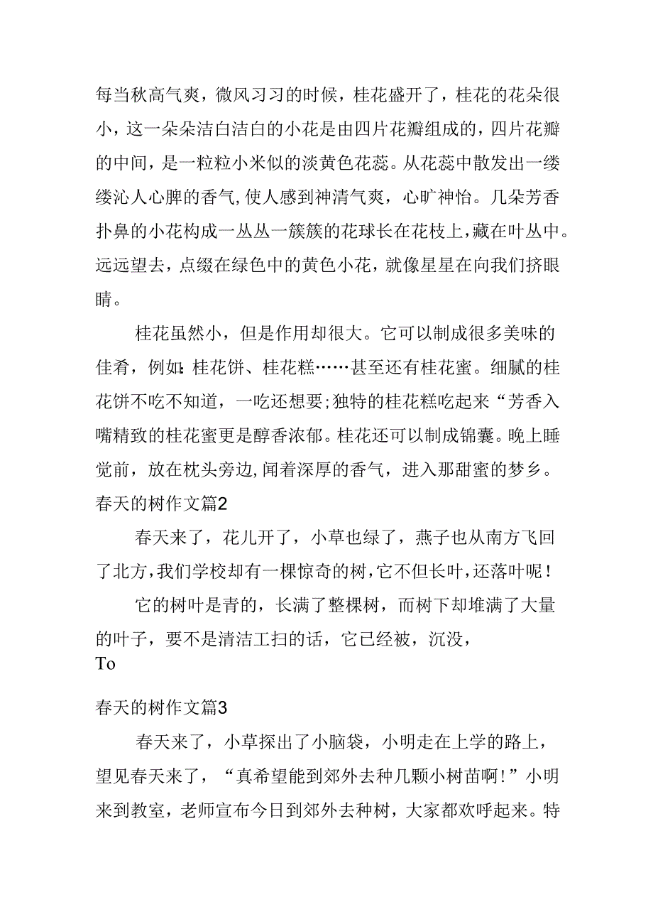 天的树作文合集六篇(1).docx_第2页