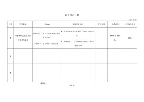 管理体系改进计划.docx