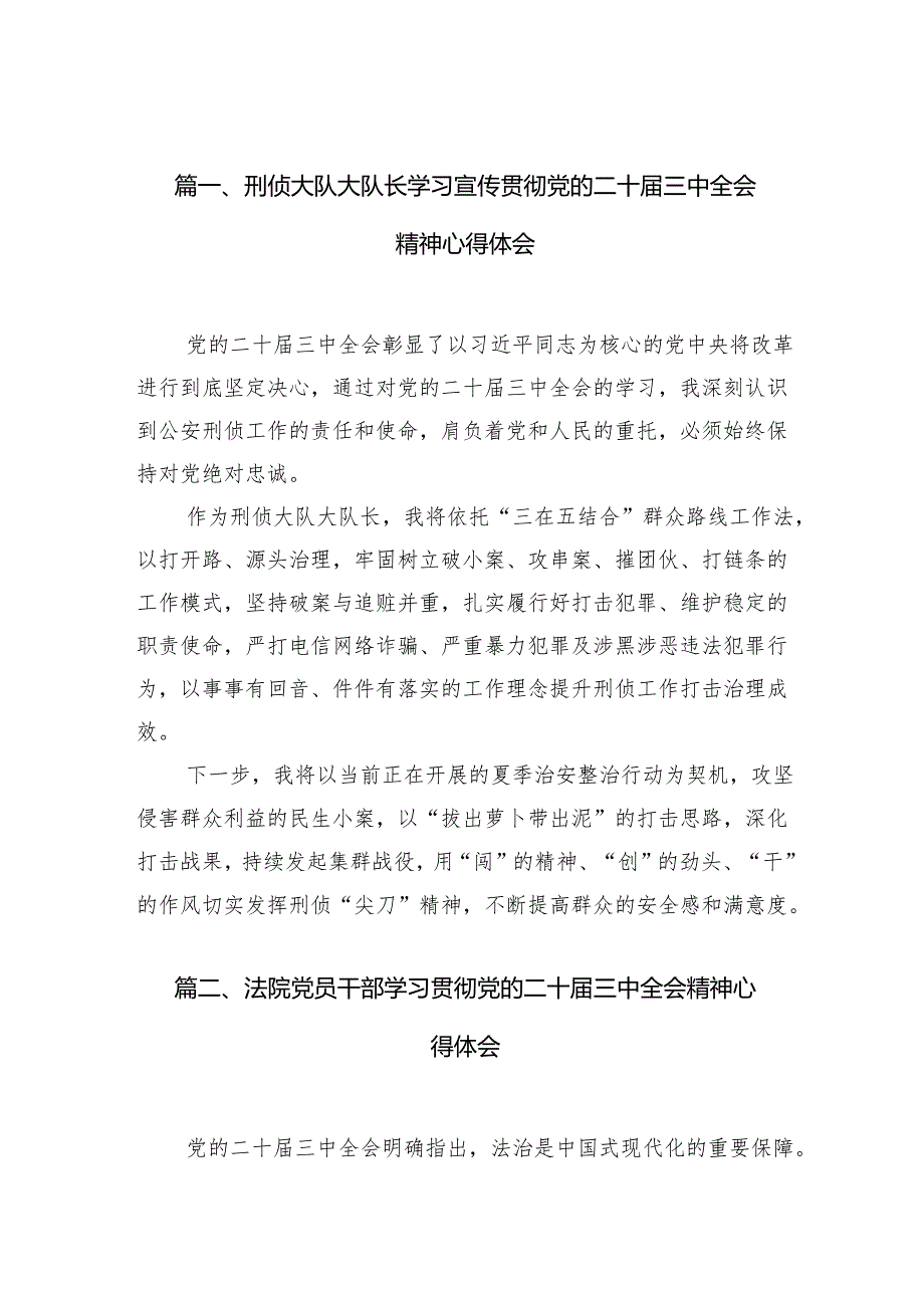 （10篇）刑侦大队大队长学习宣传贯彻党的二十三中全会精神心得体会范文.docx_第2页