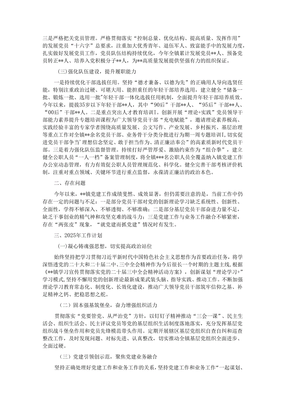 镇2024年党建工作总结和2025年工作计划.docx_第2页