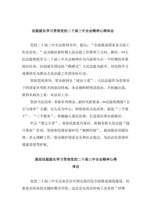 （11篇）法庭庭长学习贯彻党的二十三中全会精神心得体会通用精选.docx
